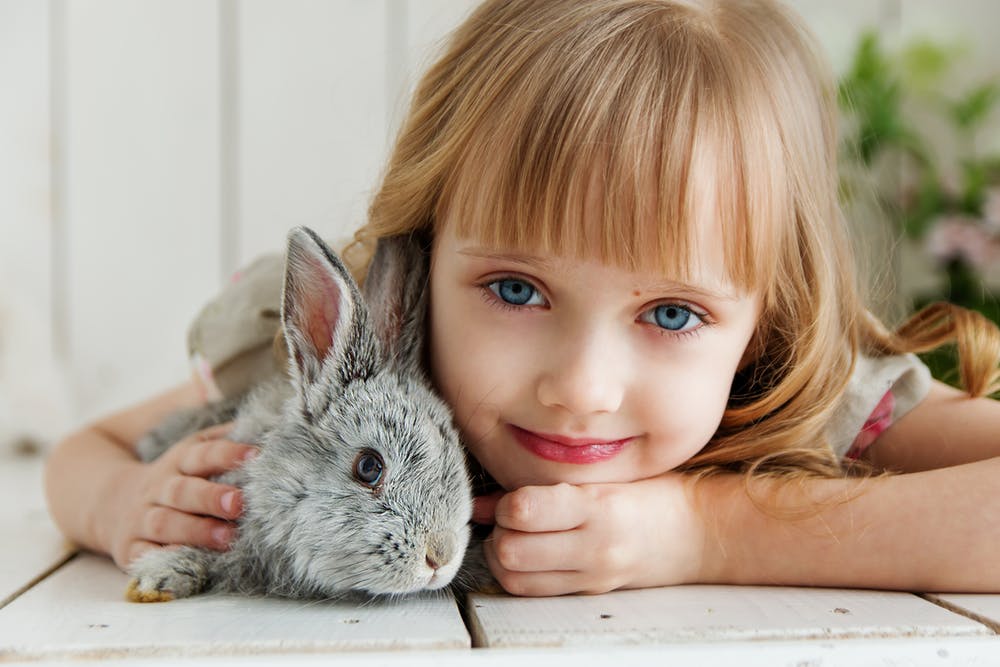 Opmuntring Værdiløs tryk Børn og kaniner – hvorfor er det en god kombination - Børnesang